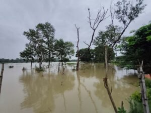 Kopai River Flooding in Santiniketan 2024